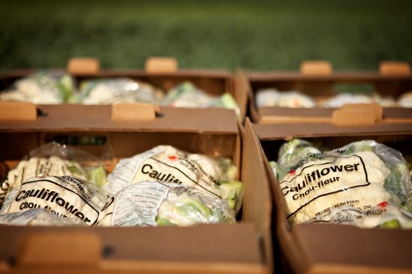 Don’t blame farmers for higher prices, says NFU