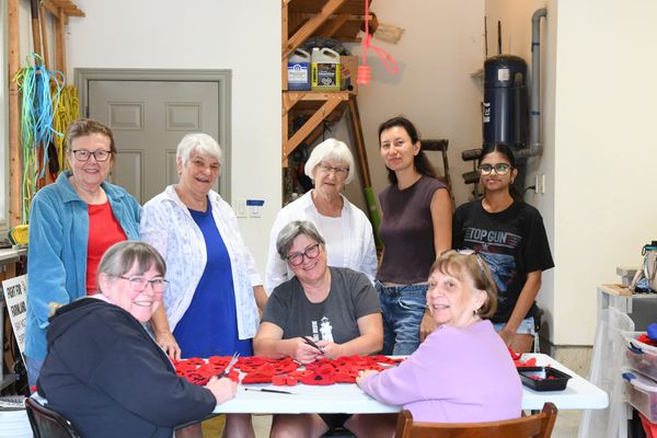Wellesley’s poppy project gears up for the fifth year