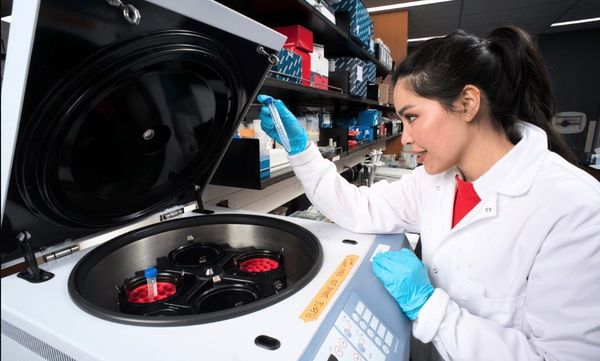 Vaccine research looks to protect birds