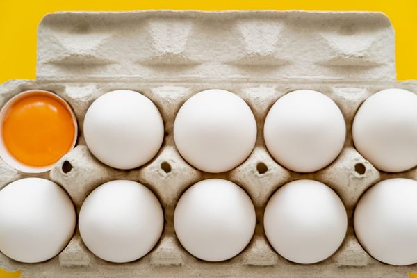 A local approach to World Egg Day