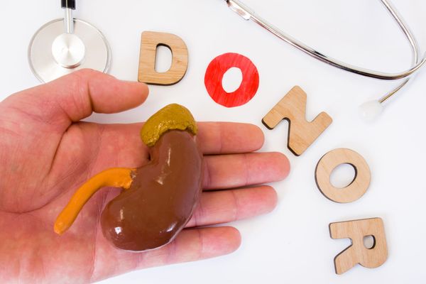 Living kidney donation may be option for those with Type 2 diabetes