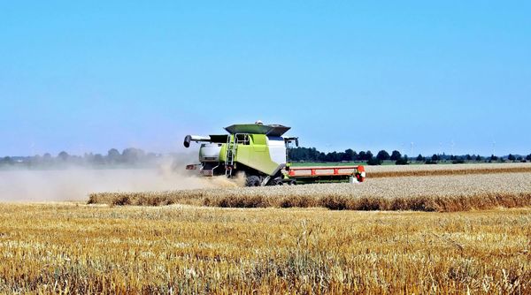 Local mineral could help farmers improve soil health