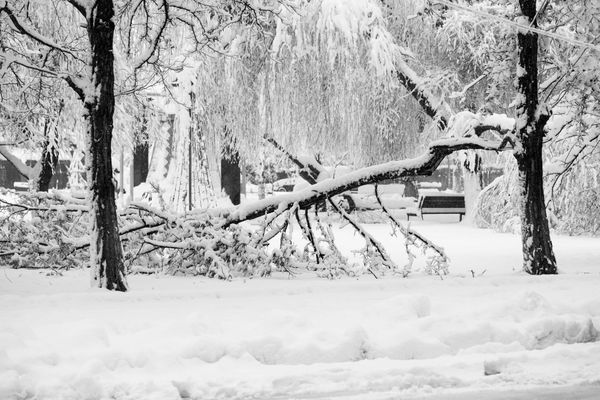 Winter weather causing Enova headaches in keeping the lights on