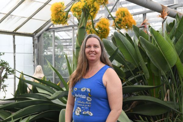 Taking in the desert ... without leaving Woolwich