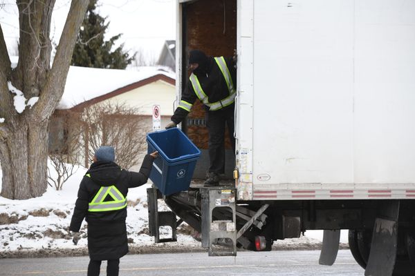 Recycling bins an example of need for plain language, group says