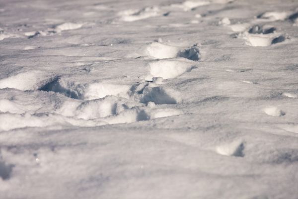 Threat of black carbon shown in new UW research