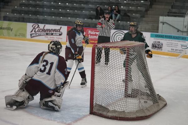 EDSS teams capture county hockey titles, head to regionals