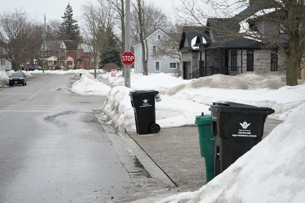 Missed pickups and other growing pains as region rolls out new waste system