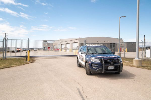 Police make second arrest in vehicle-theft investigation