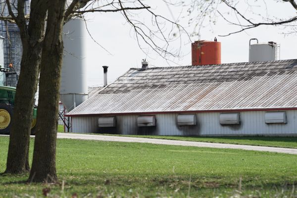 Fire ravages old chicken barn near Floradale