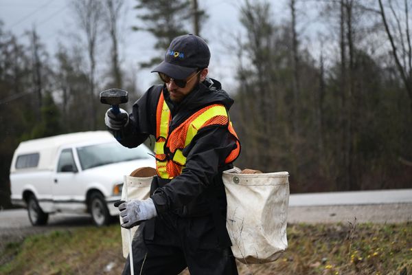Roadside tree-planting project gets rolling in Wellesley