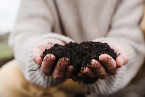 Canada commits to developing a national soil health strategy