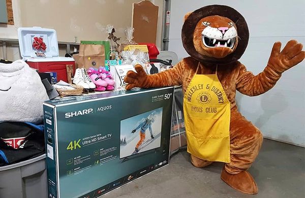 Wellesley Lions gearing up for next online auction