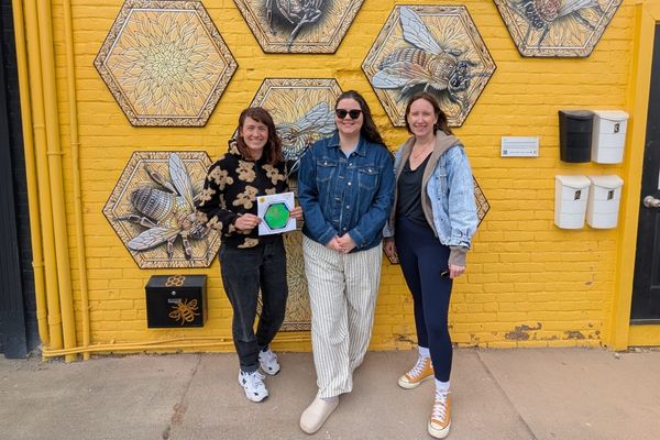 Downtown Elmira BIA celebrates World Bee Day with a colouring contest