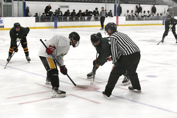 Looking to next season, Kings have 40 prospects out to camp