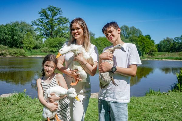Latest 4-H Club program is just ducky
