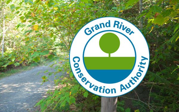 Some Laurel Creek land to be transferred to the City of Waterloo