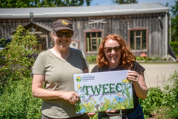 Grant will help revitalize Schaner Park in St. Jacobs