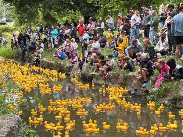 Wellesley duck race benefits Lions Club programs