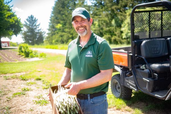 It’s been a brutal spring for asparagus