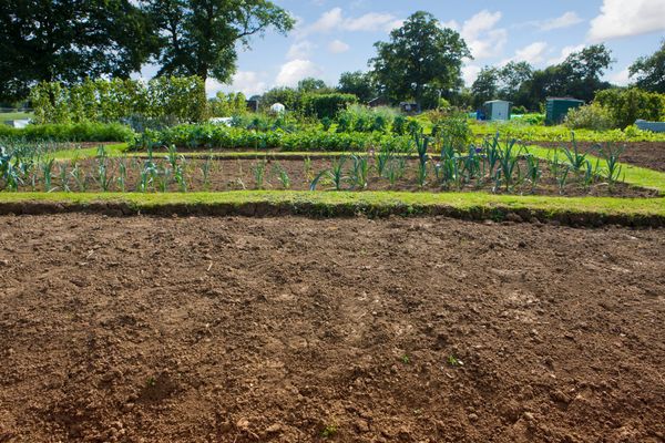 From plot to passion, come out and hear from small-scale local growers this weekend