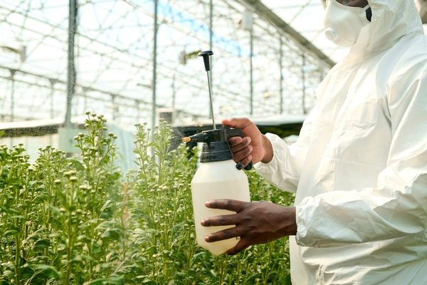 Agriculture worker advocates worried about changes to pesticide safety data sheets