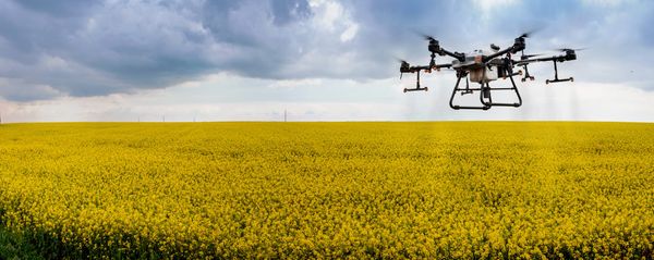 Drones offer more efficient application of pesticides