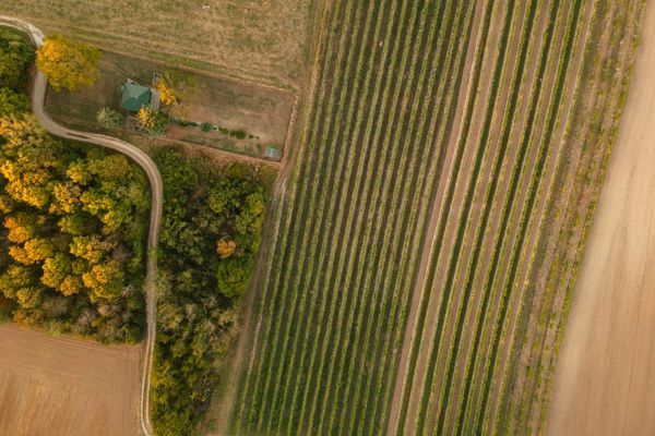 Local advocate recalls the early days of the Wilmot land grab