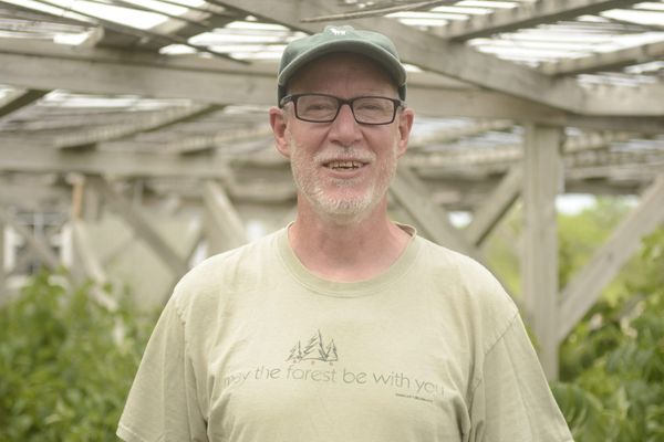 Elmira Nature Reserve tree nursery shows the power of community