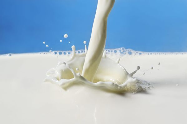 Bagged milk just might be the eco-friendlier packaging option