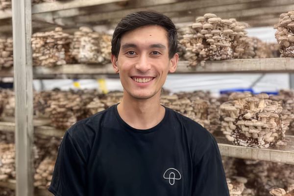Growing mushrooms with AI