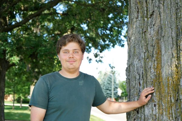 Bur oaks are the tree for wildlife lovers