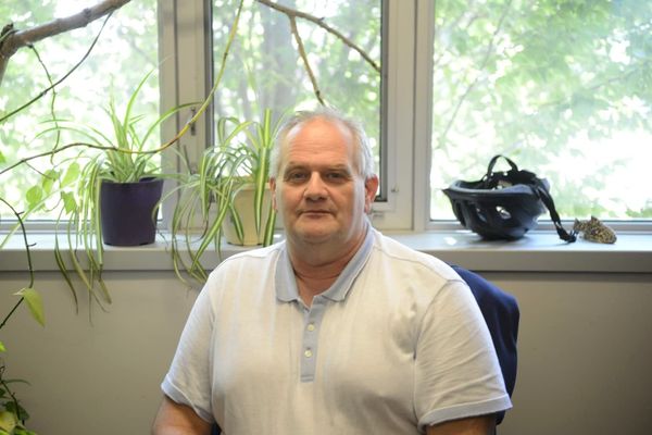 Guelph researcher finds there are more insect species than previously thought