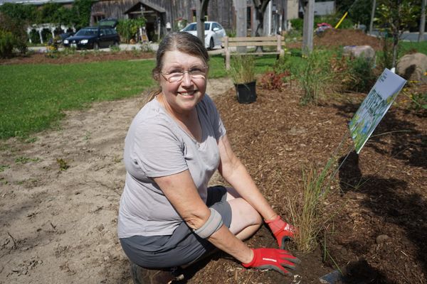 Schaner Park has a whole new look thanks to dedicated volunteers