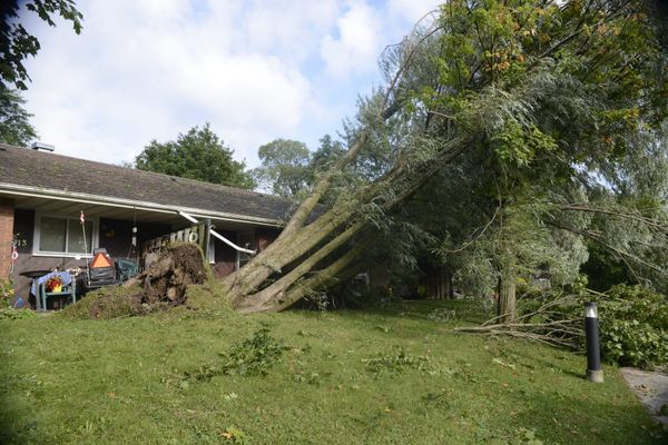 Wellesley bears brunt of storm that passed through region last week