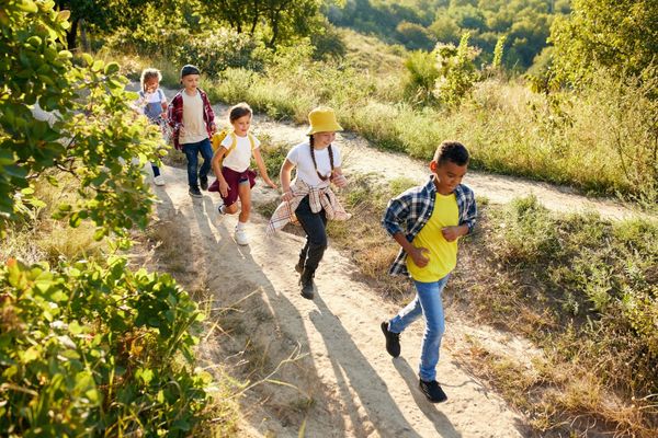 Environmental education a cornerstone of contemporary curriculum