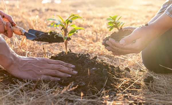 TWEEC launches monthly nature talks starting Sept. 15 at Woolwich Memorial Centre
