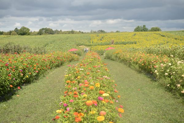 Waterloo Region Fields and Flavours Trail