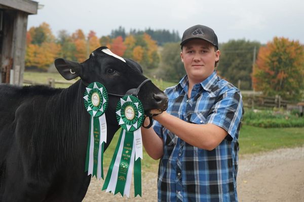 Wellesley 4H member getting ready for the Royal