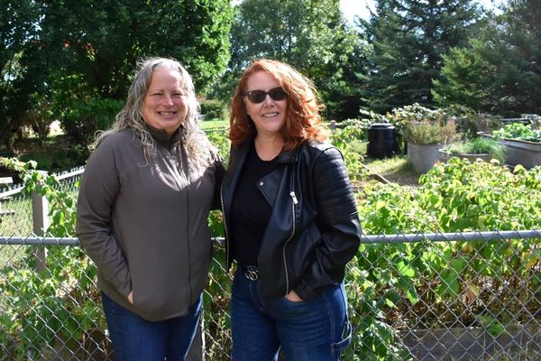 Vandals target garden in Elmira’s Bristow Park