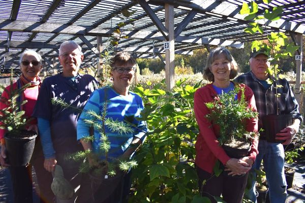 Trees for Woolwich marks 15 years since it began its efforts