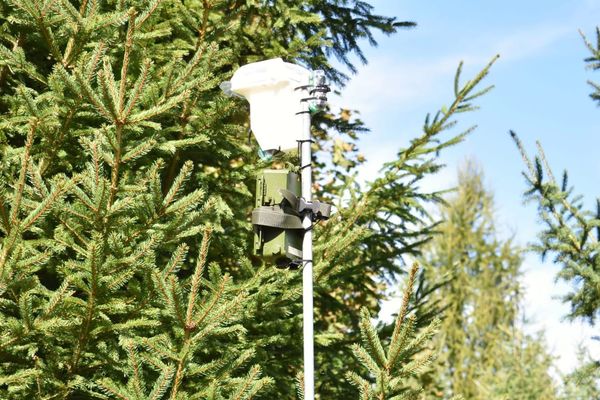 Eavesdropping on an Ultrasonic World