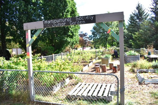 Junior Gardeners Club has two wins at OHA convention this summer