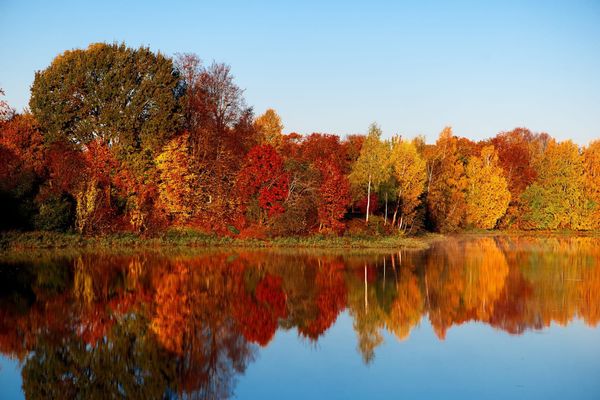 The leaves are changing colour a little slower this year
