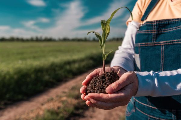 Green Party and farm groups push for Foodbelt