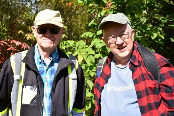 Local naturalists discover over 800 moth species on one property