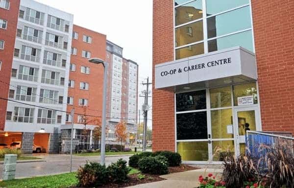 Job-readiness a growing necessity for students