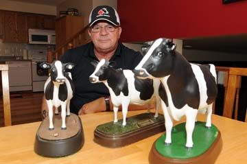 A man who’s job is getting up close and personal with cows