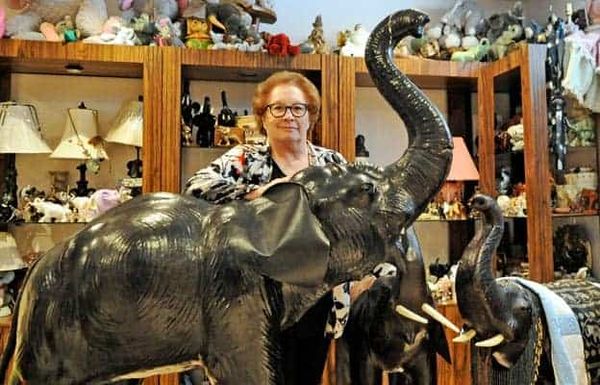 On safari … at home in Elmira