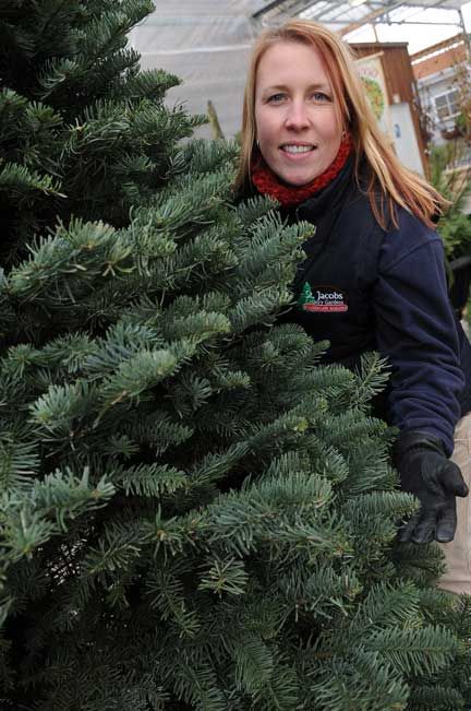 O Christmas tree, much pleasure do you bring us